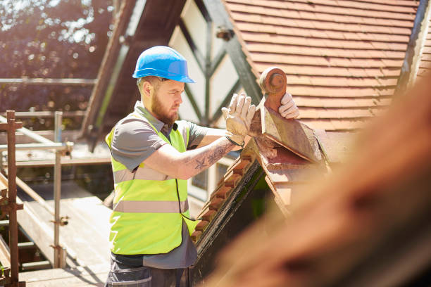 Best Metal Roofing Contractor  in Rochester, NY
